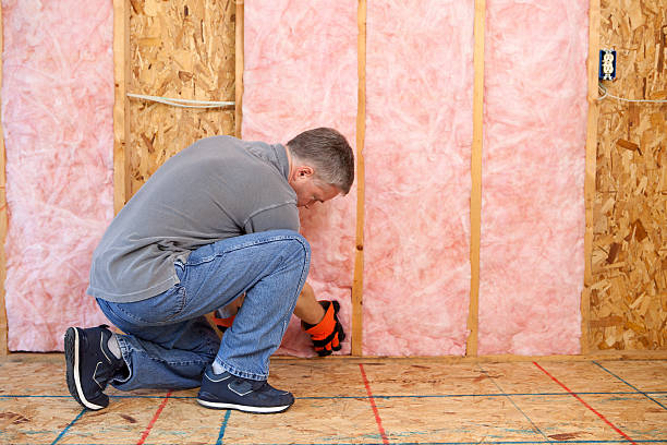 Best Basement Insulation  in Cordova, NC