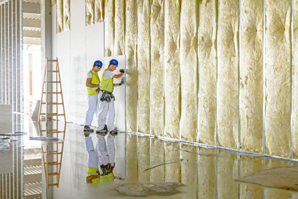 Best Blown-In Insulation  in Cordova, NC